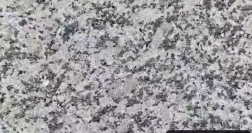 浙江 芙蓉白（芝麻白大花）火烧面