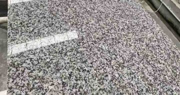 浙江 芙蓉白光面