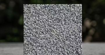 浙江 芝麻黑荔枝面