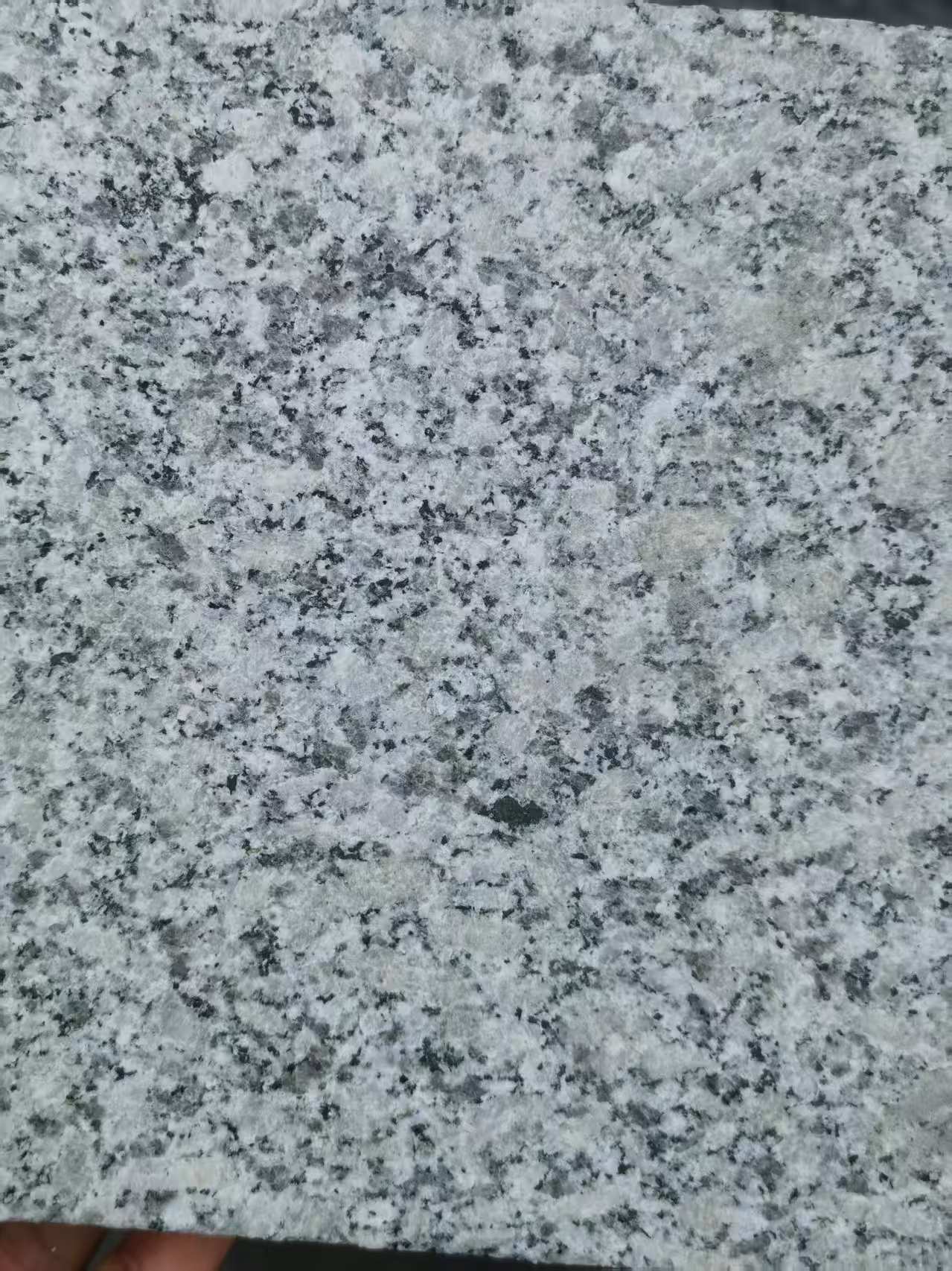 浙江 芙蓉白火烧面