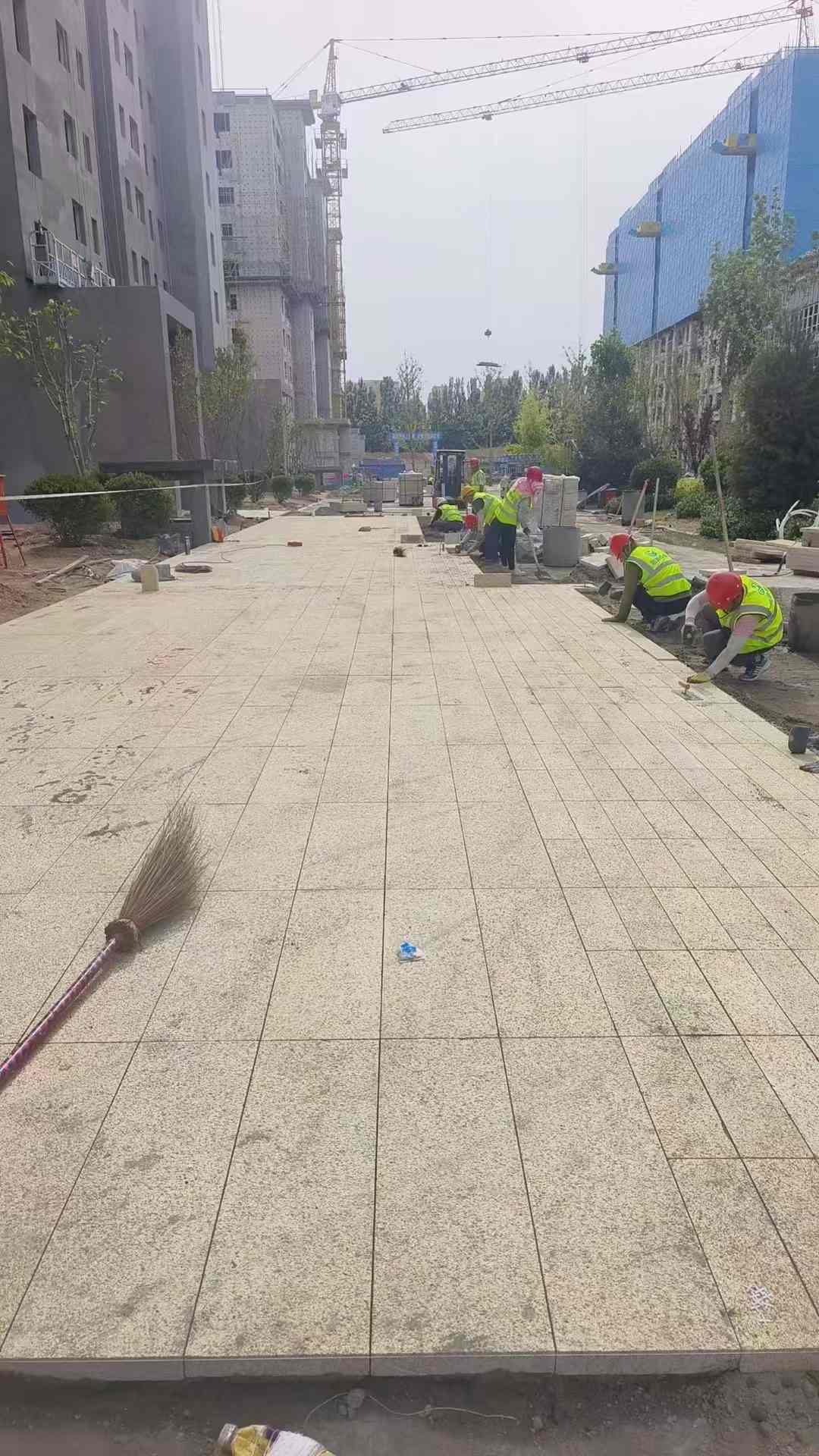 浙江黄金麻荔枝面地铺案例