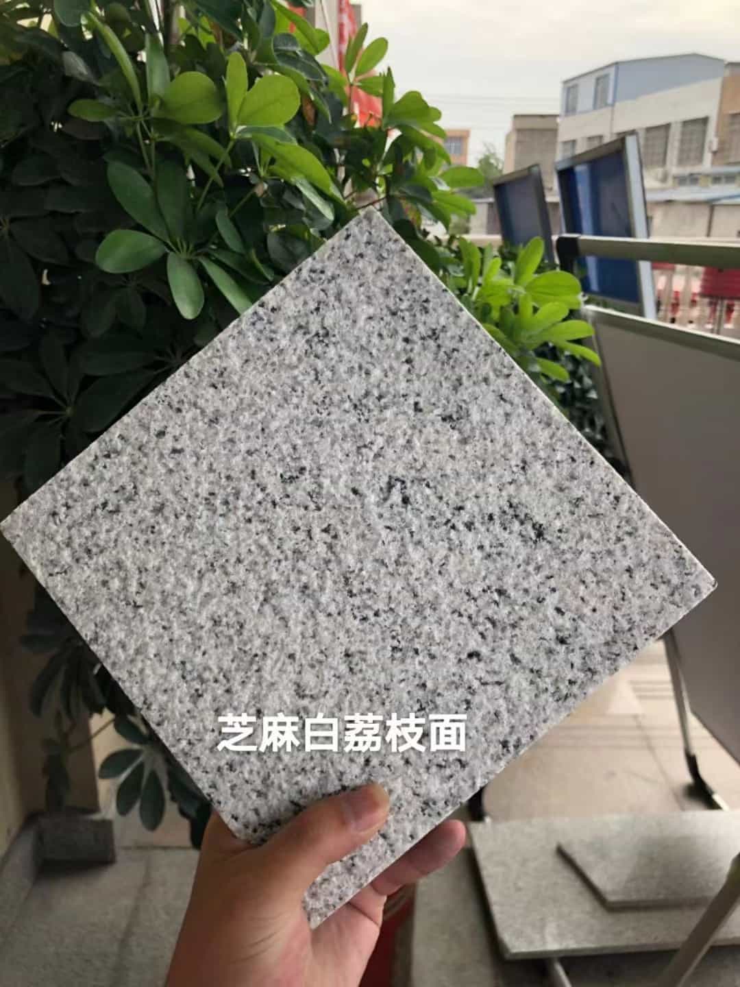 浙江 芝麻白荔枝面干挂