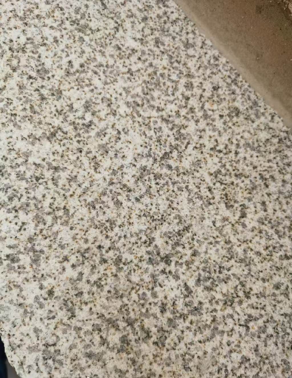 浙江 黄金麻中黄光面